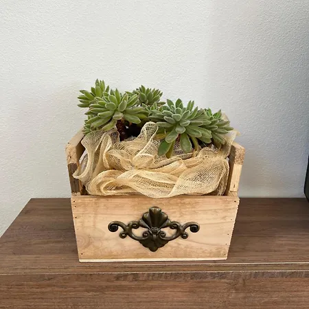 شقة Panoramica Con Giardino